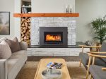 Regency Alterra Pro i3000 Wood Fireplace Insert (Contemporary) Online Sale