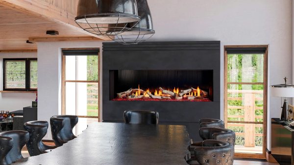 Heat & Glo 48  Primo II Fireplace Cheap